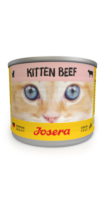 Kitten Beef wet