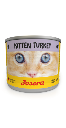 Kitten Turkey wet