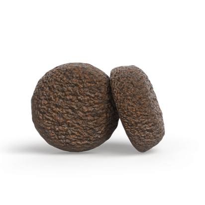 A/S JUNIOR YOUNGSTAR    Zusammensetzung