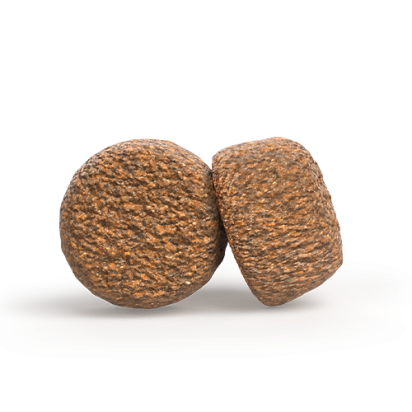 A/S SENIOR BALANCE   Zusammensetzung