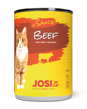 JOSICAT BEEF IN SAUCE 3X4