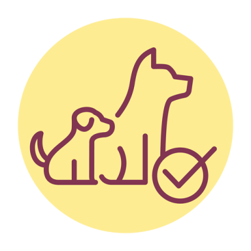 Optimale Entwicklung