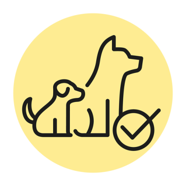 Optimale Entwicklung