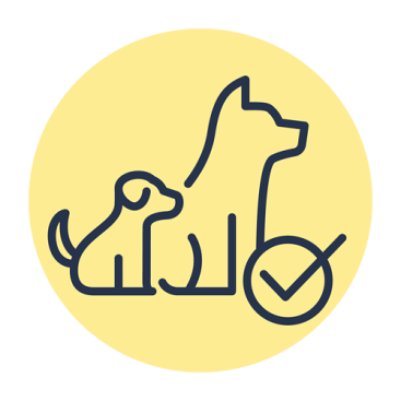 Optimale Entwicklung